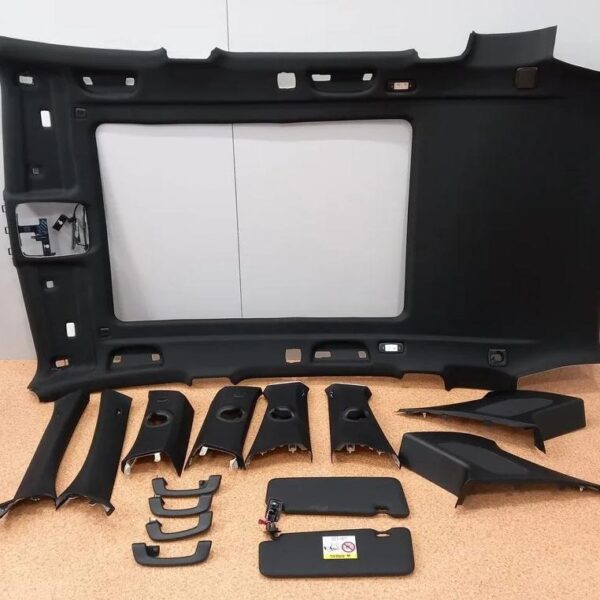 BMW X5 G05 Complete Headliner