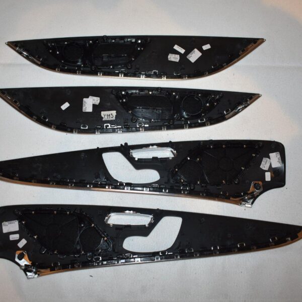 Genuine AMG Carbon Fiber Door Trim