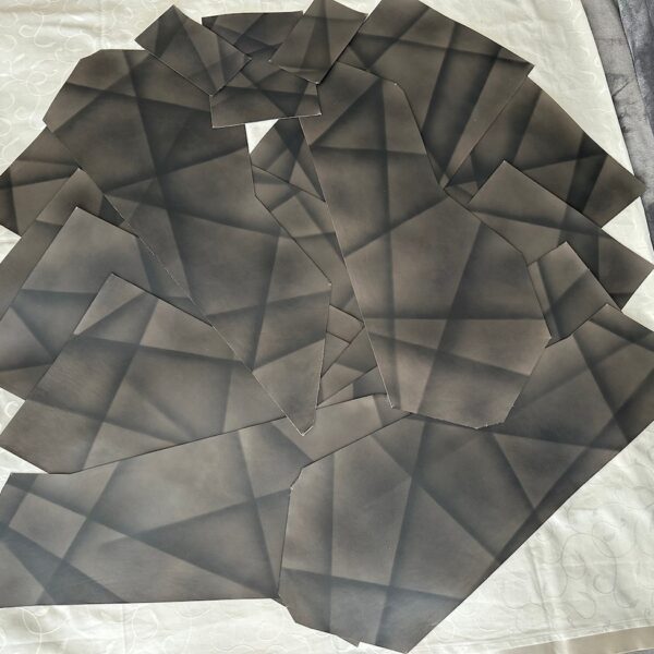 14-Piece NOS W124 E500 Limited Leather Inserts